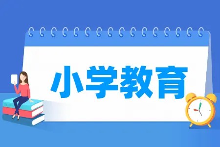 2024最新小学教辅合集