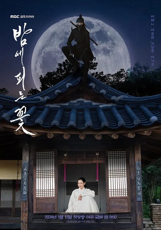 【韩剧】夜晚开的花 2024 古装喜剧动作 李荷妮 李钟元 主演 高清中字 更新1集