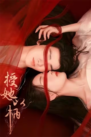 《授她以柄（2024）》全集【20集已完结】 BD1080P 国语中字